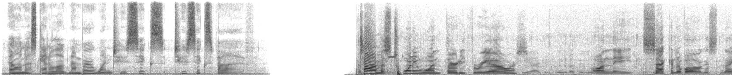 Speckled Trout - ML126265