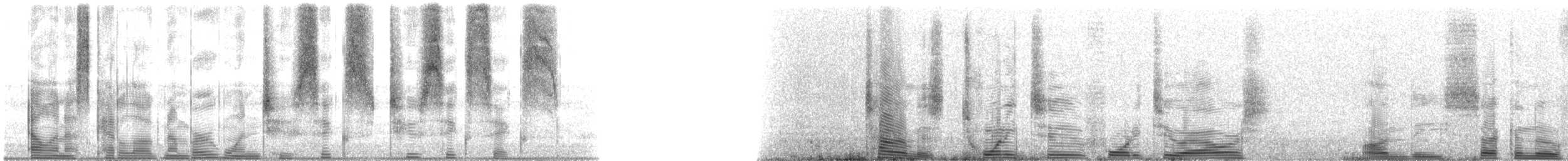 Speckled Trout - ML126266