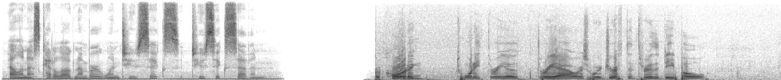 Speckled Trout - ML126267