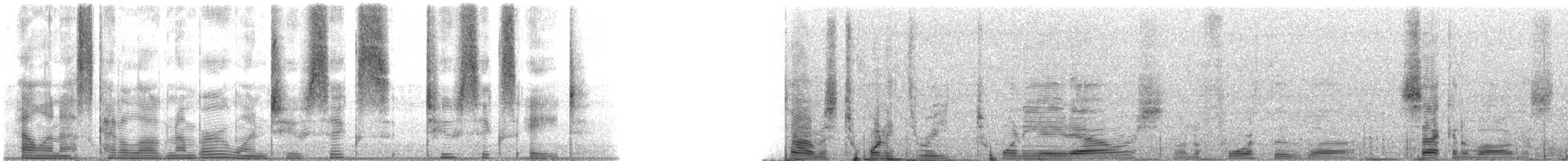 Speckled Trout - ML126268