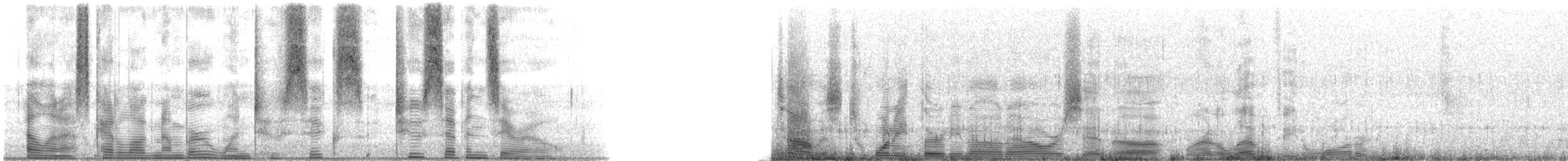 Speckled Trout - ML126270