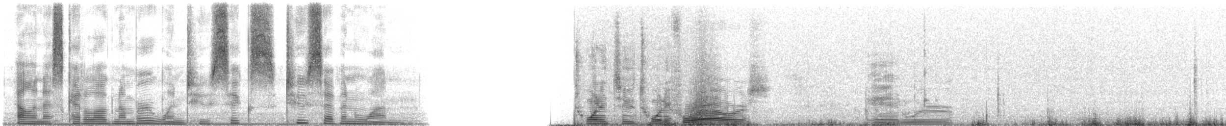 Speckled Trout - ML126271