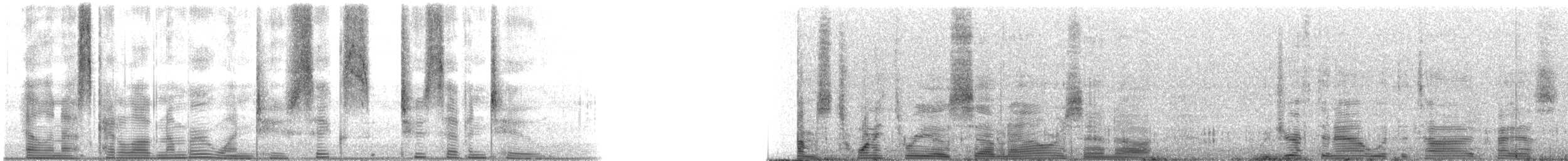 Speckled Trout - ML126272