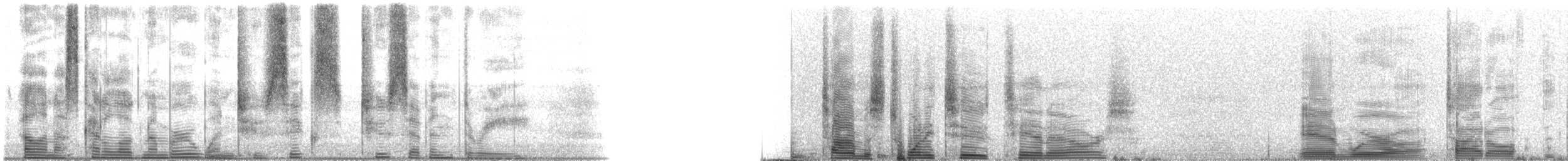 Speckled Trout - ML126273