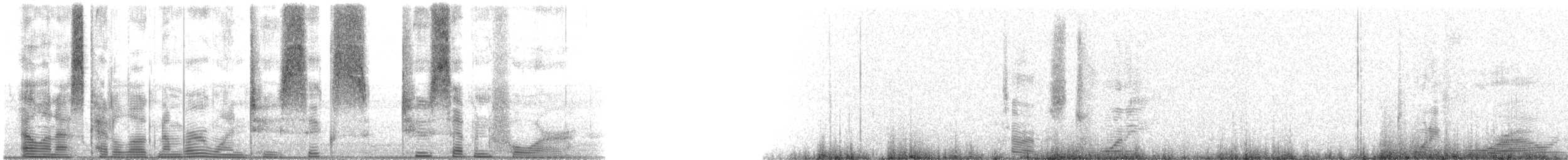 Speckled Trout - ML126274