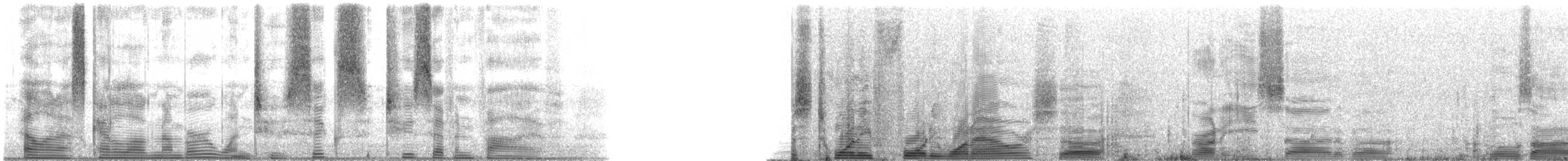 Speckled Trout - ML126275