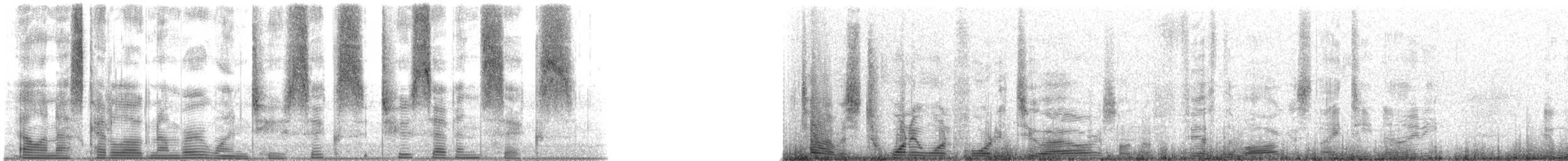 Speckled Trout - ML126276