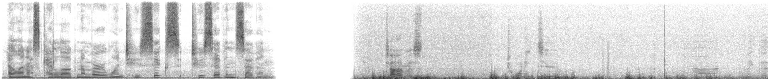 Speckled Trout - ML126277