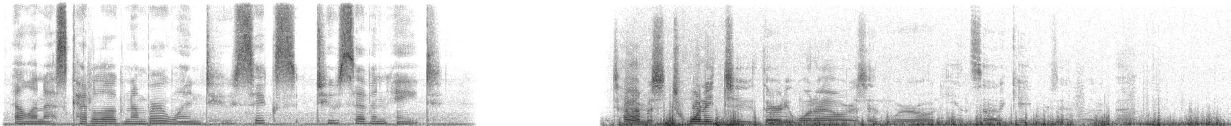 Speckled Trout - ML126278