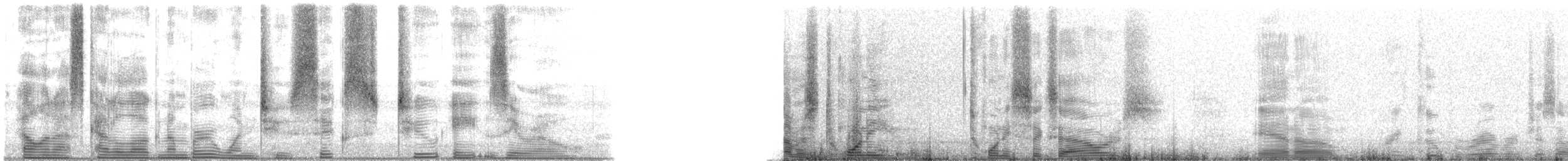 Speckled Trout - ML126280