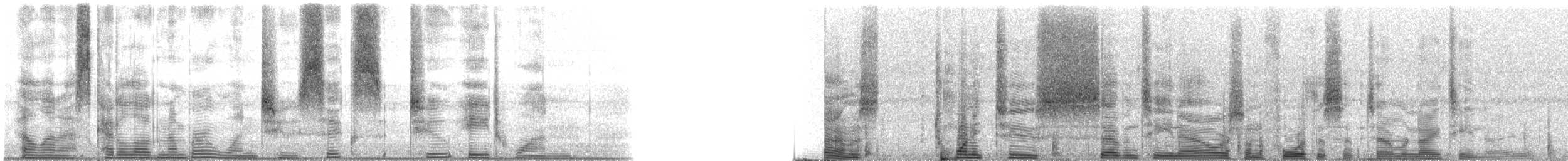 Speckled Trout - ML126281