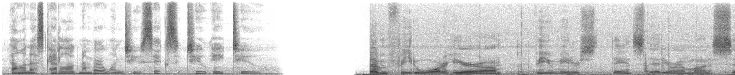 Speckled Trout - ML126282