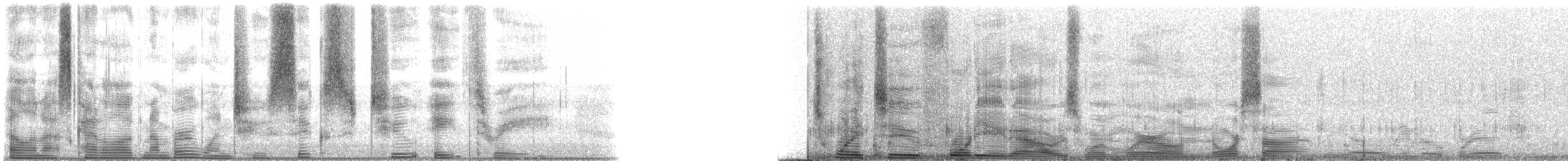 Speckled Trout - ML126283