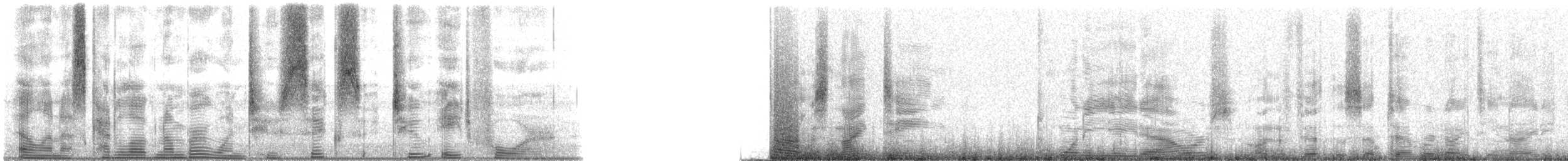 Speckled Trout - ML126284