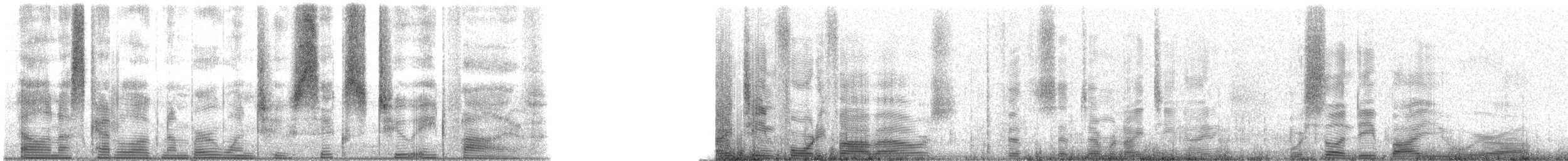 Speckled Trout - ML126285