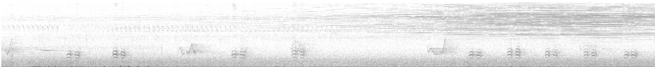 Weißbrustkleiber (carolinensis) - ML126285111