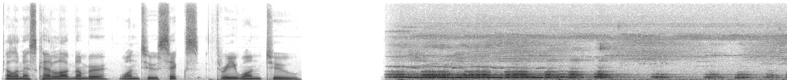 Mantled Howler Monkey - ML126312