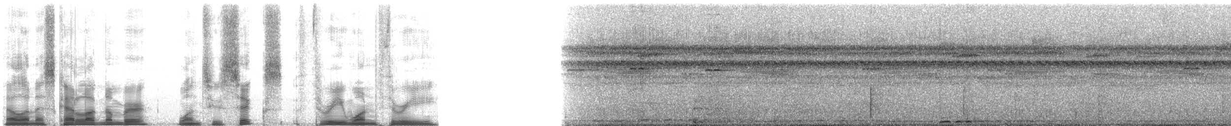 Mantled Howler Monkey - ML126313