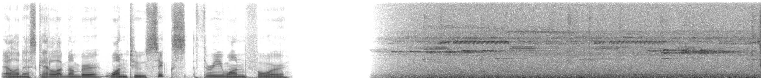 Colombian Red Howler Monkey - ML126314