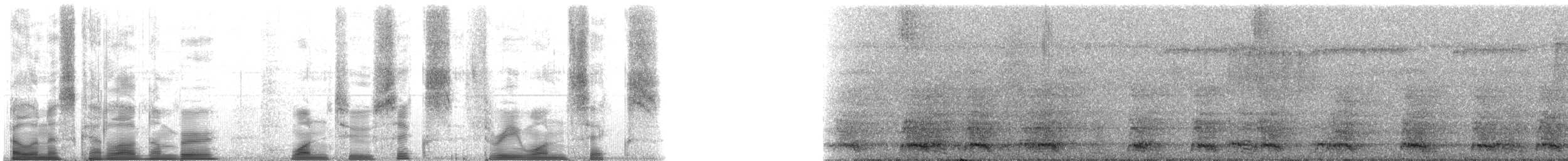 Central American Spider Monkey - ML126316