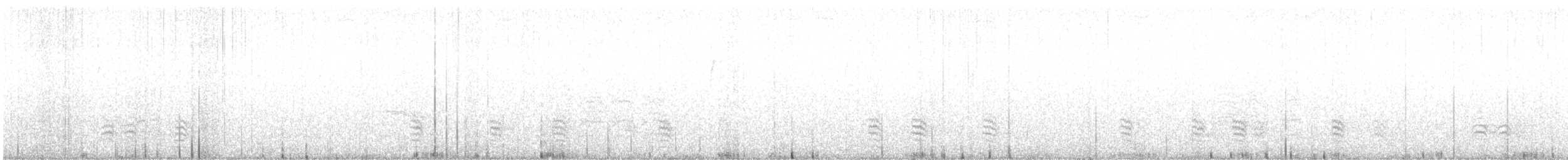 White-breasted Nuthatch - ML126316891