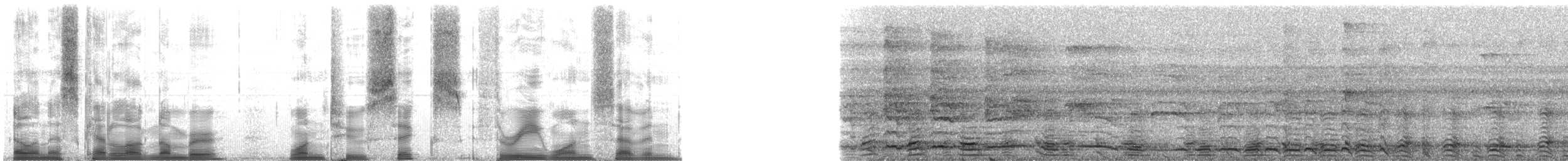 Red-bellied Titi - ML126317