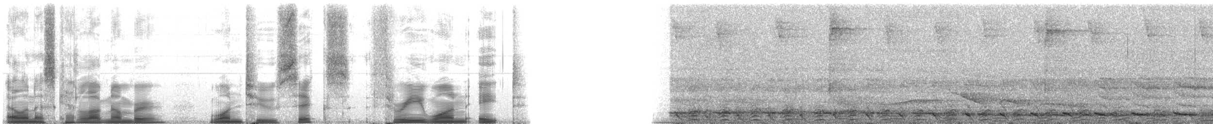 Red-bellied Titi - ML126318