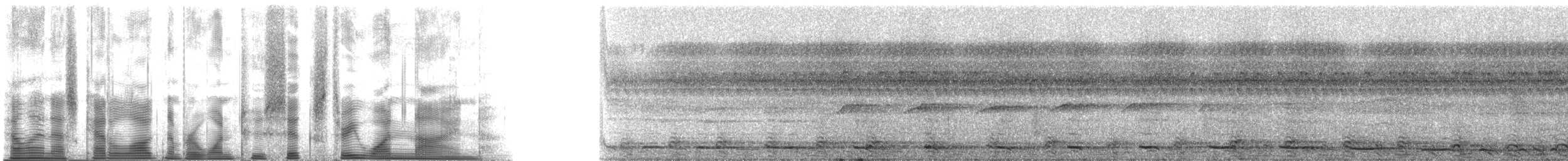 Red-bellied Titi - ML126319