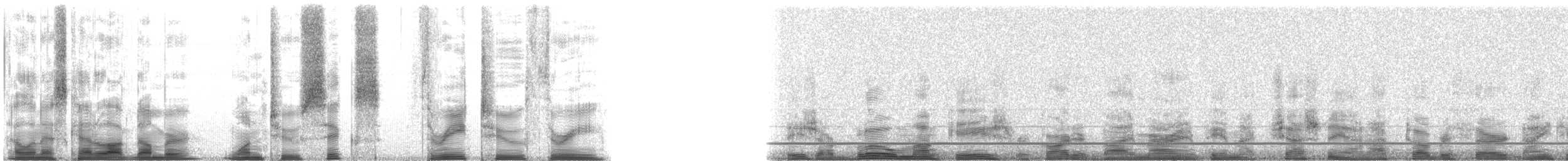 ブルーモンキー - ML126323