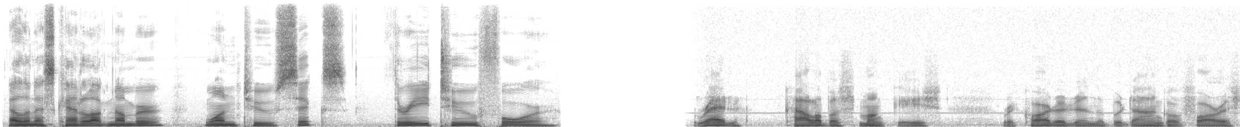 ニシアカコロブス - ML126324