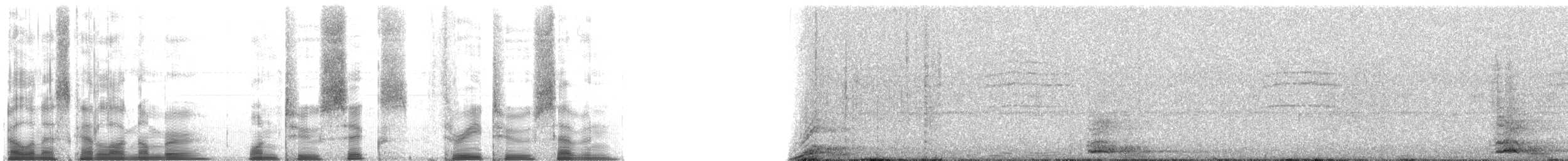 ヒヒ属 - ML126327