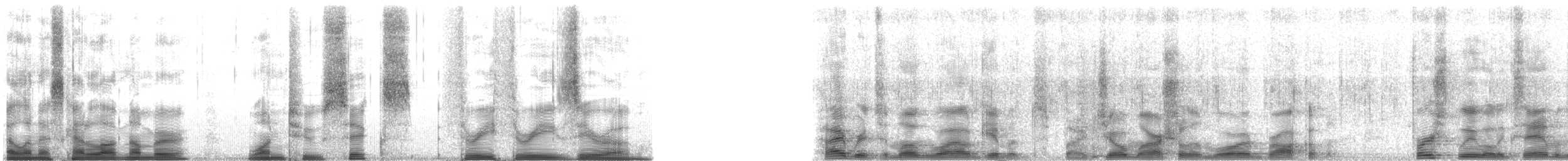 Lar x Pileated Gibbon (hybrid) - ML126330