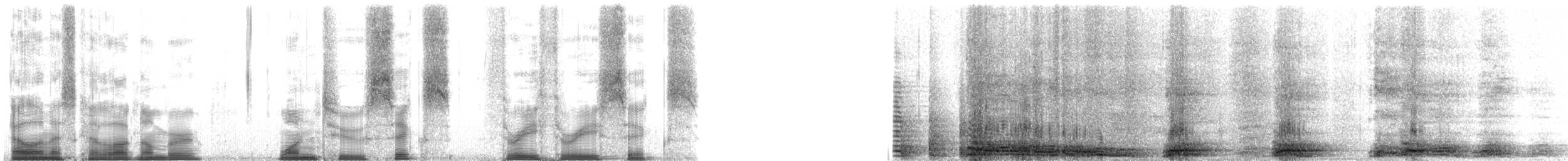 Domestic Dog - ML126336