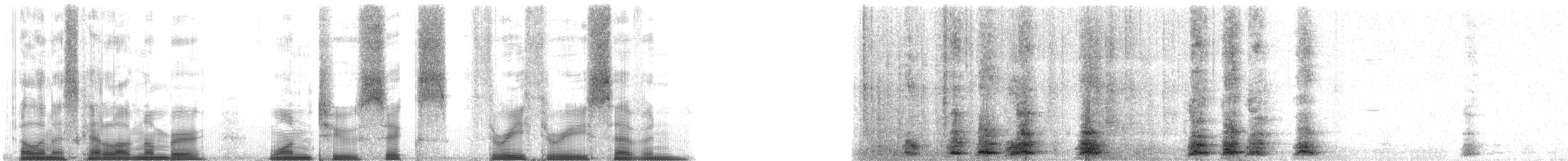 Domestic Dog - ML126337