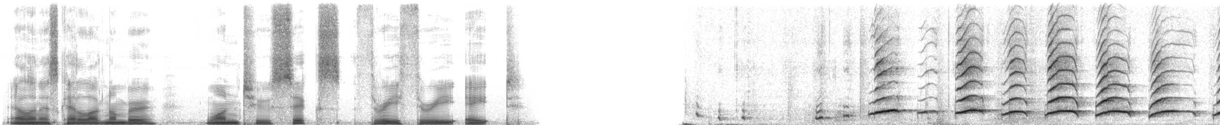 Domestic Dog - ML126338