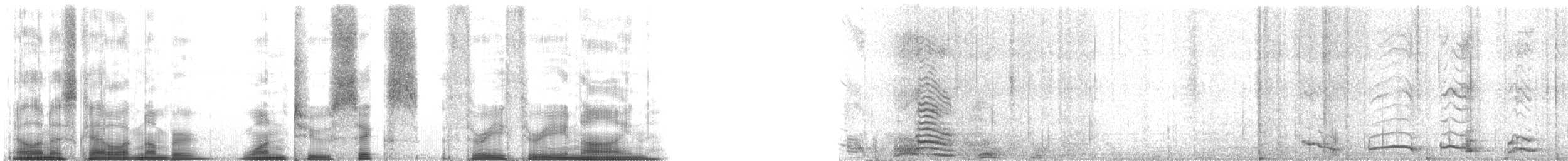 Domestic Dog - ML126339