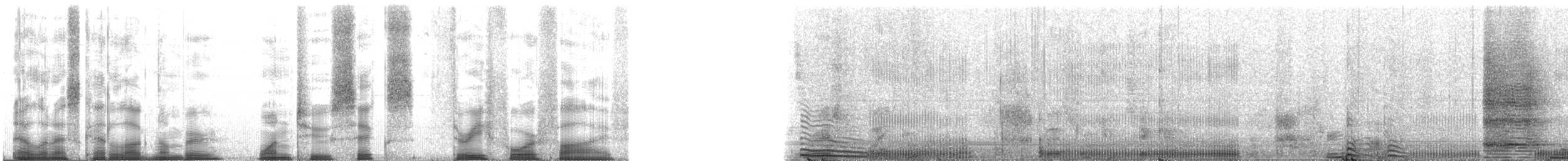 Black-backed Jackal - ML126345