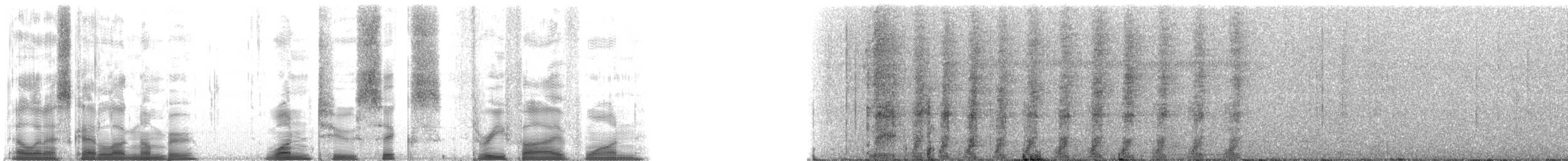 White-nosed Coati - ML126351