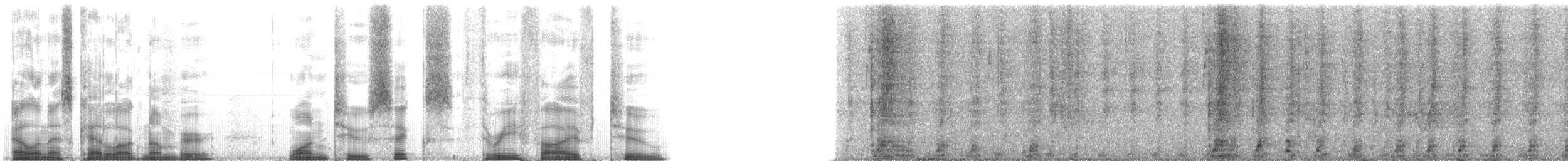 White-nosed Coati - ML126352