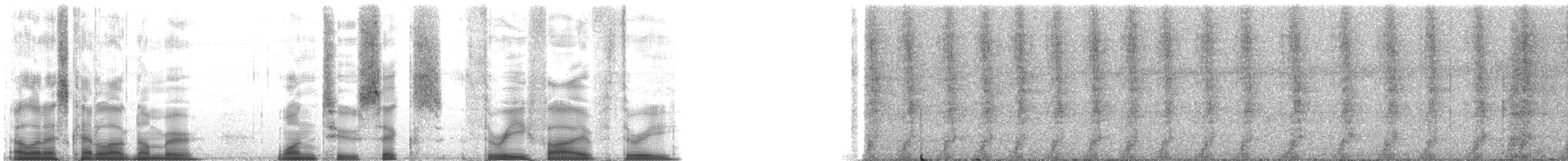 White-nosed Coati - ML126353