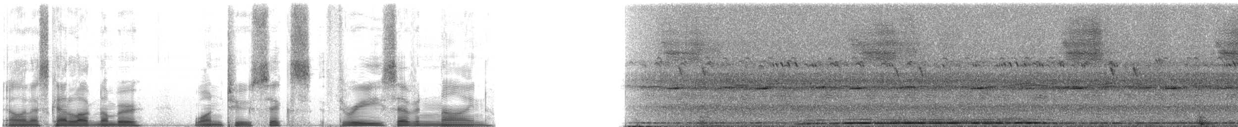 Brown Hyaena - ML126379