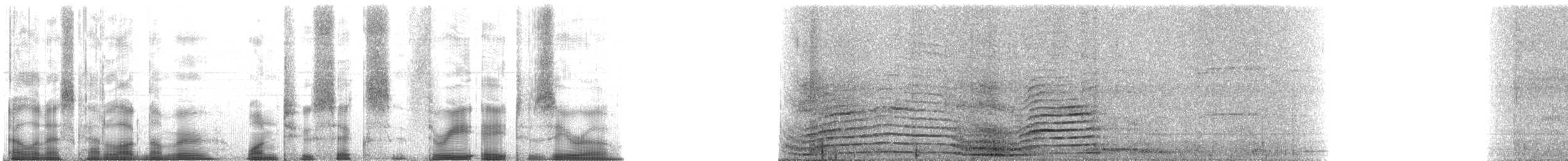 Domestic Cat - ML126380