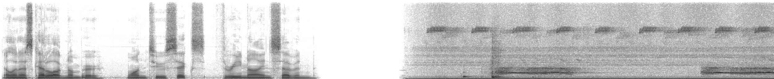 Southern Tree Hyrax - ML126397