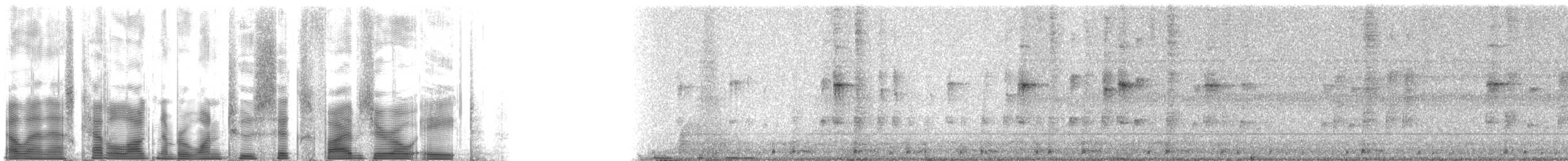 Eastern Chipmunk - ML126508