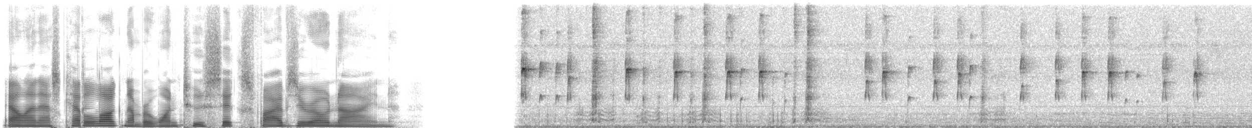 Eastern Chipmunk - ML126509