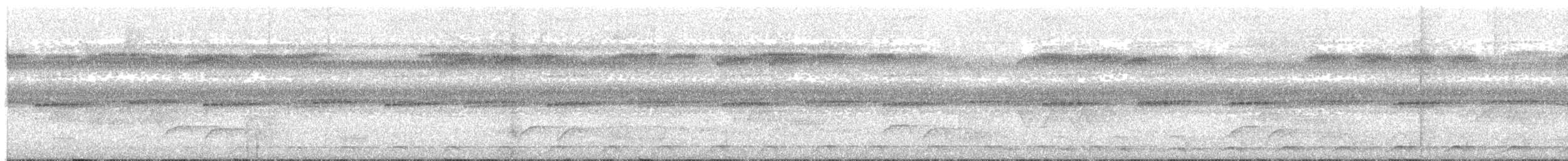 Black-tailed Trogon - ML126541901