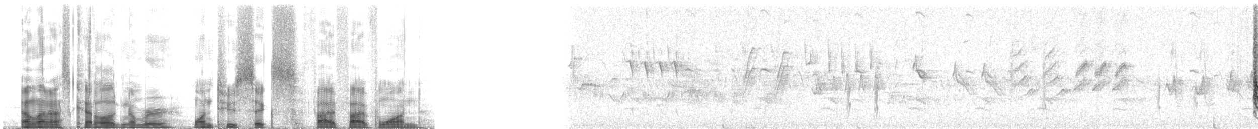 Bullock's Oriole - ML126551