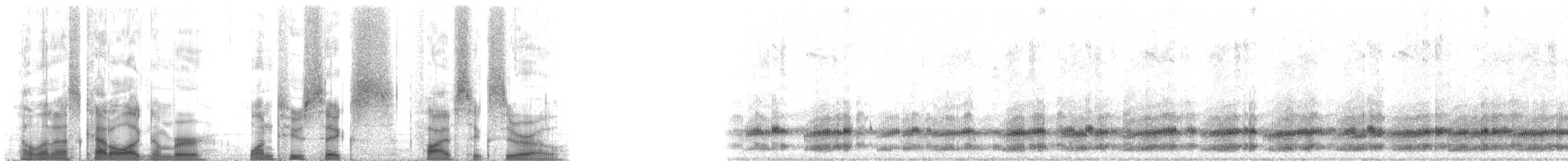 Pacific chorus frog - ML126560