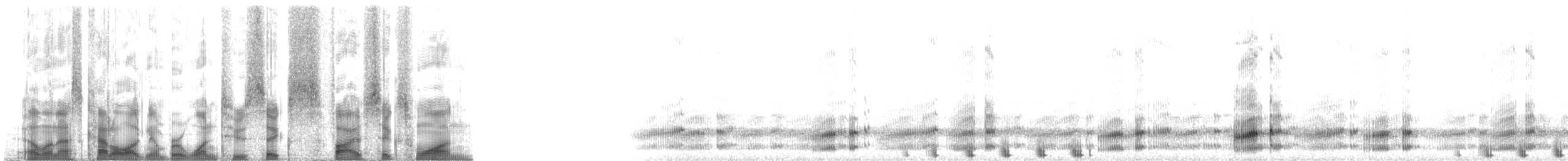 Pacific chorus frog - ML126561