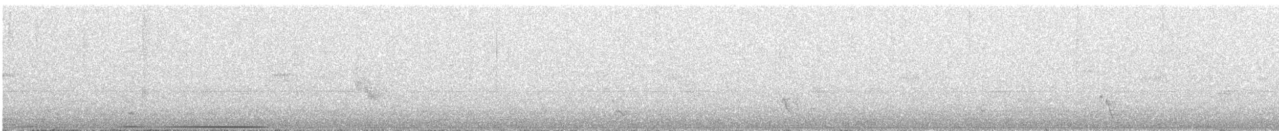 オオテリハウズラバト - ML126606871